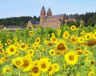 Die Abtei St. Hildegard in Rüdesheim wurde 1904 von 12 Benediktinerinnen gegründet. (Foto: Tourist-AG/Karlheinz Walter)