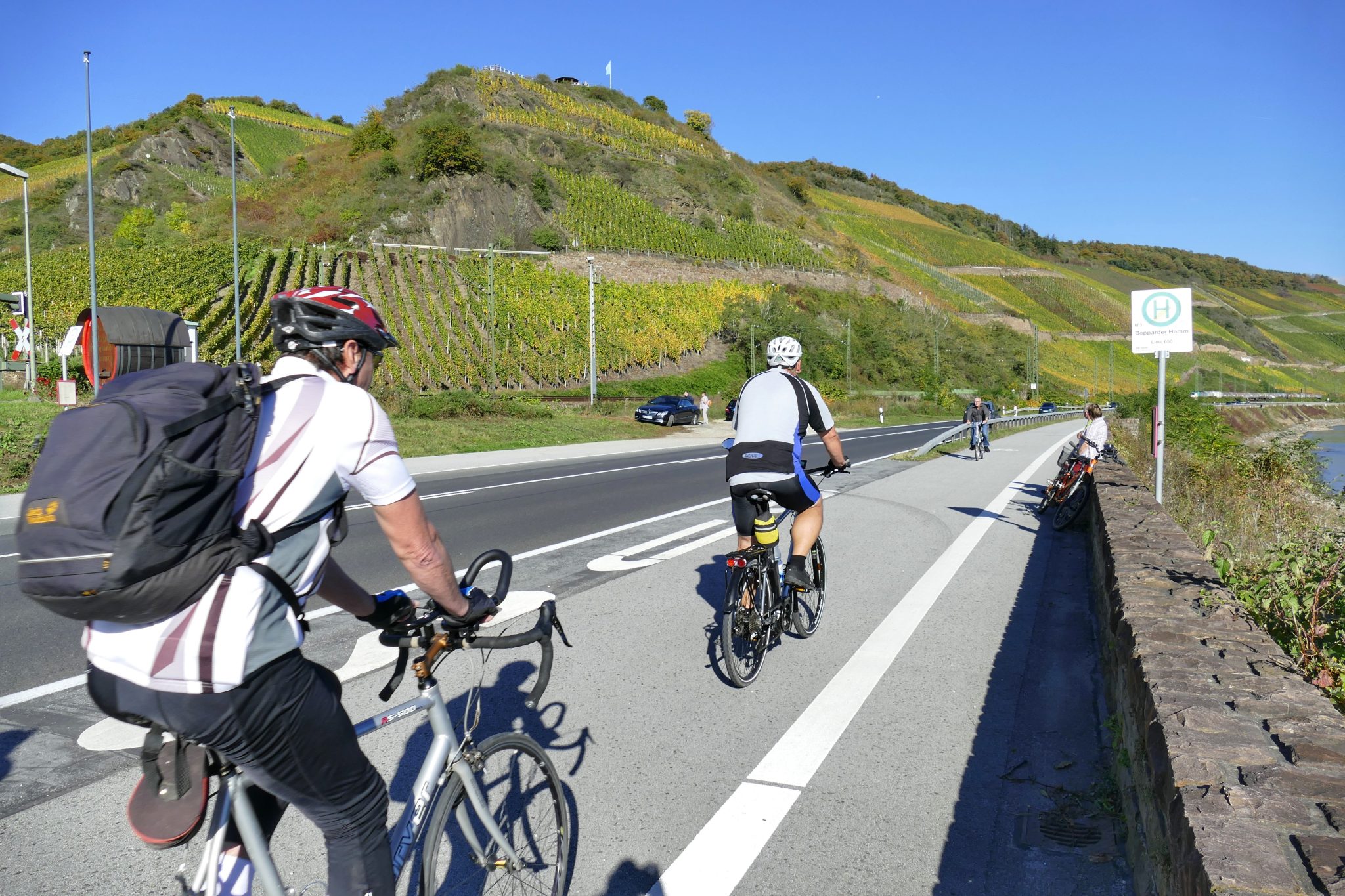 Radfahrer am Mittelrhein